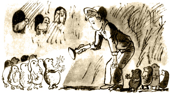 Иллюстрация к книге — Долой огуречного короля! [i_024.jpg]