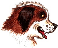 Иллюстрация к книге — Пес спешит на помощь [img90.jpg]