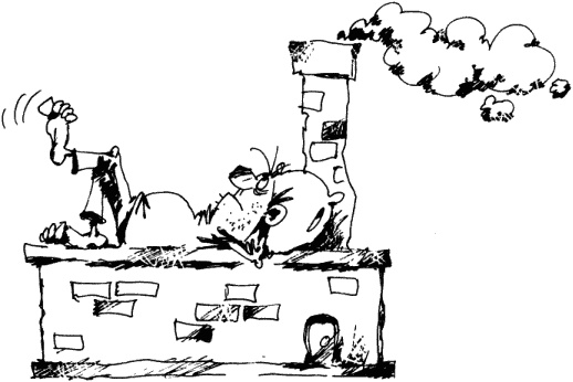 Иллюстрация к книге — Антикризисный опыт дурака [_022_1.jpg]