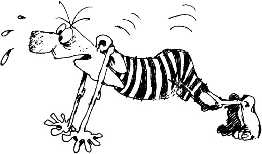 Иллюстрация к книге — Антикризисный опыт дурака [_071_1.jpg]