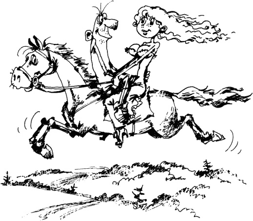 Иллюстрация к книге — Антикризисный опыт дурака [_085_1.jpg]