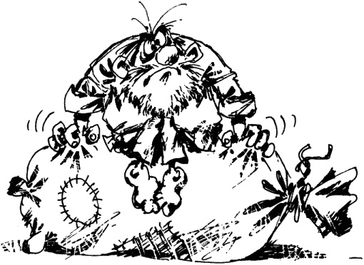 Иллюстрация к книге — Антикризисный опыт дурака [_131_1.jpg]