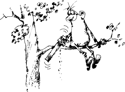 Иллюстрация к книге — Антикризисный опыт дурака [_179_1.jpg]