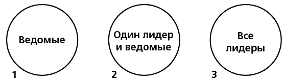 Иллюстрация к книге — Антикризисный опыт дурака [_217_1.jpg]