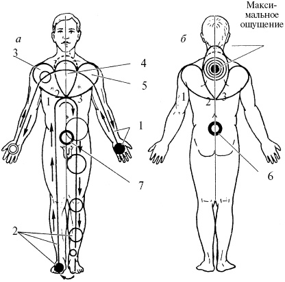 Иллюстрация к книге — Победи болезни силой духа. Практические приемы самооздоровления и омоложения [_24.jpg]