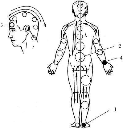 Иллюстрация к книге — Победи болезни силой духа. Практические приемы самооздоровления и омоложения [_25.jpg]