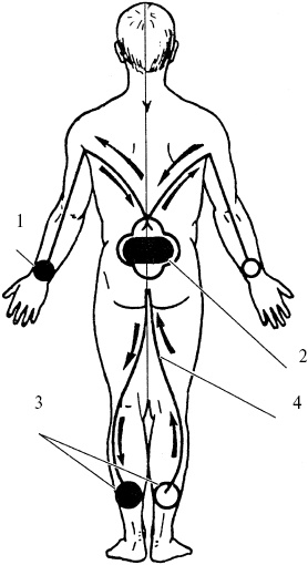 Иллюстрация к книге — Победи болезни силой духа. Практические приемы самооздоровления и омоложения [_26.jpg]