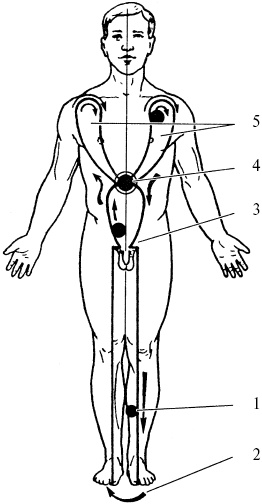 Иллюстрация к книге — Победи болезни силой духа. Практические приемы самооздоровления и омоложения [_35.jpg]