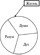 Иллюстрация к книге — Победи болезни силой духа. Практические приемы самооздоровления и омоложения [_41.jpg]