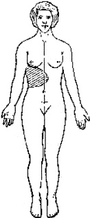 Иллюстрация к книге — Победи болезни силой духа. Практические приемы самооздоровления и омоложения [_7.jpg]