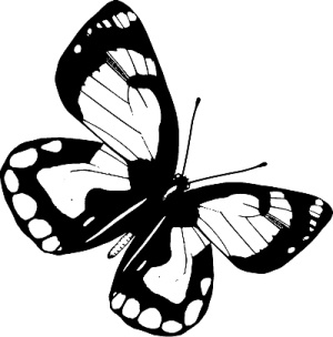 Иллюстрация к книге — Трансформация. Проявление самости [i_004.jpg]