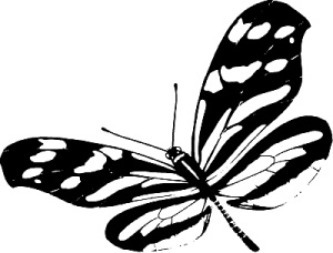 Иллюстрация к книге — Трансформация. Проявление самости [i_005.jpg]