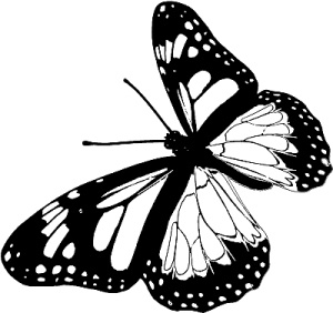 Иллюстрация к книге — Трансформация. Проявление самости [i_006.jpg]