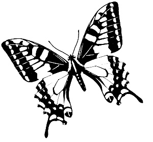 Иллюстрация к книге — Трансформация. Проявление самости [i_022.jpg]