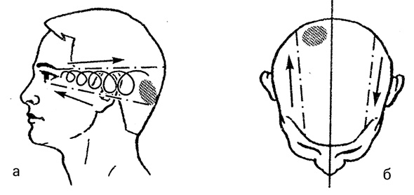 Иллюстрация к книге — Жизнь без таблеток [i_007.jpg]