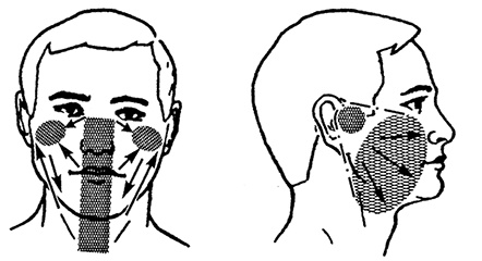 Иллюстрация к книге — Жизнь без таблеток [i_008.jpg]