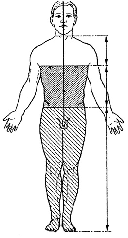 Иллюстрация к книге — Жизнь без таблеток [i_011.jpg]