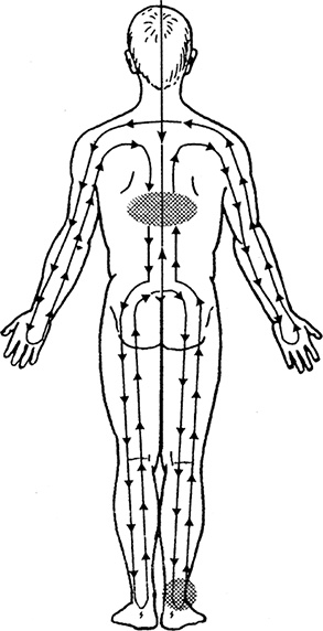 Иллюстрация к книге — Жизнь без таблеток [i_015.jpg]