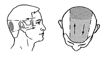 Иллюстрация к книге — Жизнь без таблеток [i_017.jpg]