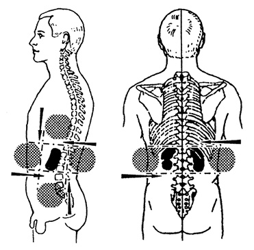 Иллюстрация к книге — Жизнь без таблеток [i_020.jpg]