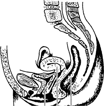 Иллюстрация к книге — Жизнь без таблеток [i_022.jpg]