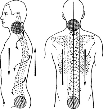 Иллюстрация к книге — Жизнь без таблеток [i_025.jpg]