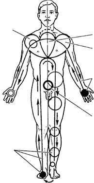 Иллюстрация к книге — Жизнь без таблеток [i_027.jpg]