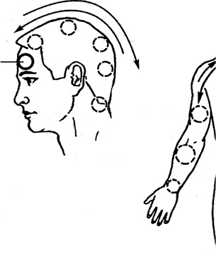 Иллюстрация к книге — Жизнь без таблеток [i_029.jpg]
