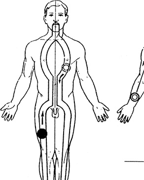 Иллюстрация к книге — Жизнь без таблеток [i_031.jpg]