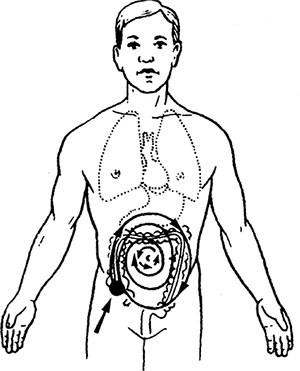Иллюстрация к книге — Жизнь без таблеток [i_032.jpg]