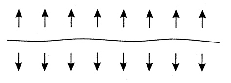 Иллюстрация к книге — Жизнь без таблеток [i_036.jpg]