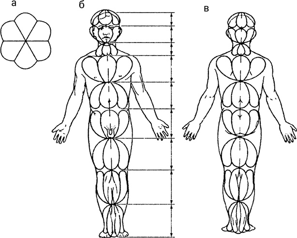 Иллюстрация к книге — Жизнь без таблеток [i_037.jpg]