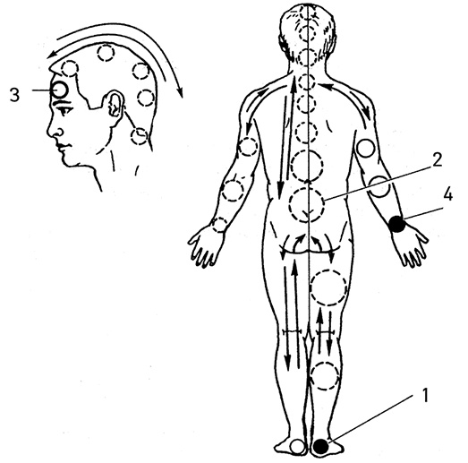 Иллюстрация к книге — Жизнь без таблеток [i_042.jpg]