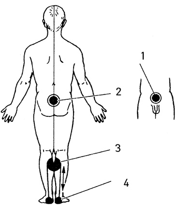 Иллюстрация к книге — Жизнь без таблеток [i_048.jpg]