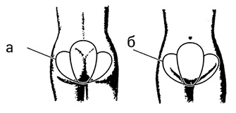 Иллюстрация к книге — Жизнь без таблеток [i_049.jpg]