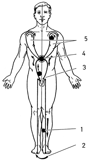 Иллюстрация к книге — Жизнь без таблеток [i_052.jpg]