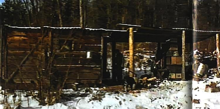 Иллюстрация к книге — Тигр. История мести и спасения [i_016.jpg]