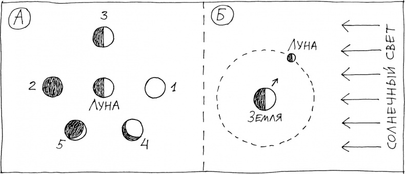 Иллюстрация к книге — Слонодёмия [i_045.jpg]