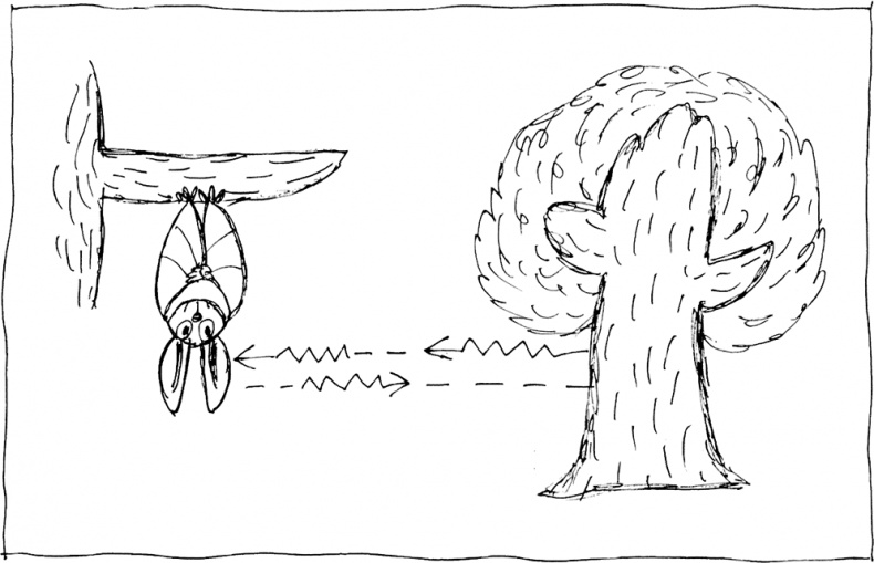 Иллюстрация к книге — Слонодёмия [i_053.jpg]