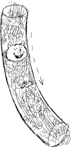 Иллюстрация к книге — Слонодёмия [i_075.jpg]