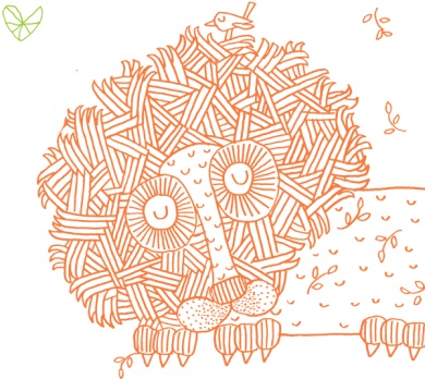 Иллюстрация к книге — От клубка до праздничного марша [i_050.jpg]