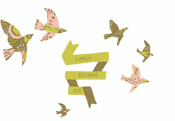 Иллюстрация к книге — От шнурков до сердечка [i_062.jpg]