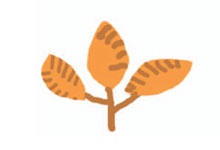 Иллюстрация к книге — От шнурков до сердечка [i_067.jpg]