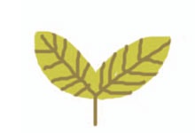 Иллюстрация к книге — От шнурков до сердечка [i_093.jpg]