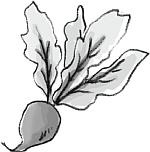 Иллюстрация к книге — Французские дети едят все [_17.jpg]