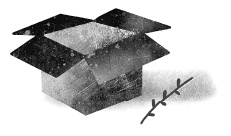 Иллюстрация к книге — Следы [i_003.jpg]