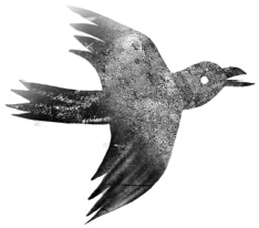 Иллюстрация к книге — Следы [i_017.jpg]