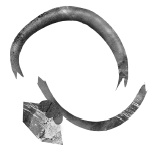 Иллюстрация к книге — Следы [i_048.jpg]