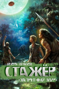 Книга Стажёр