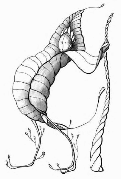 Иллюстрация к книге — Приключения озорного мышонка [i_018.jpg]